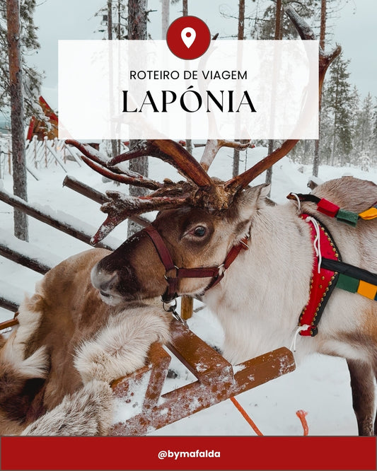 Roteiro de Viagem Finlândia | Helsínquia, Rovaniemi e Levi